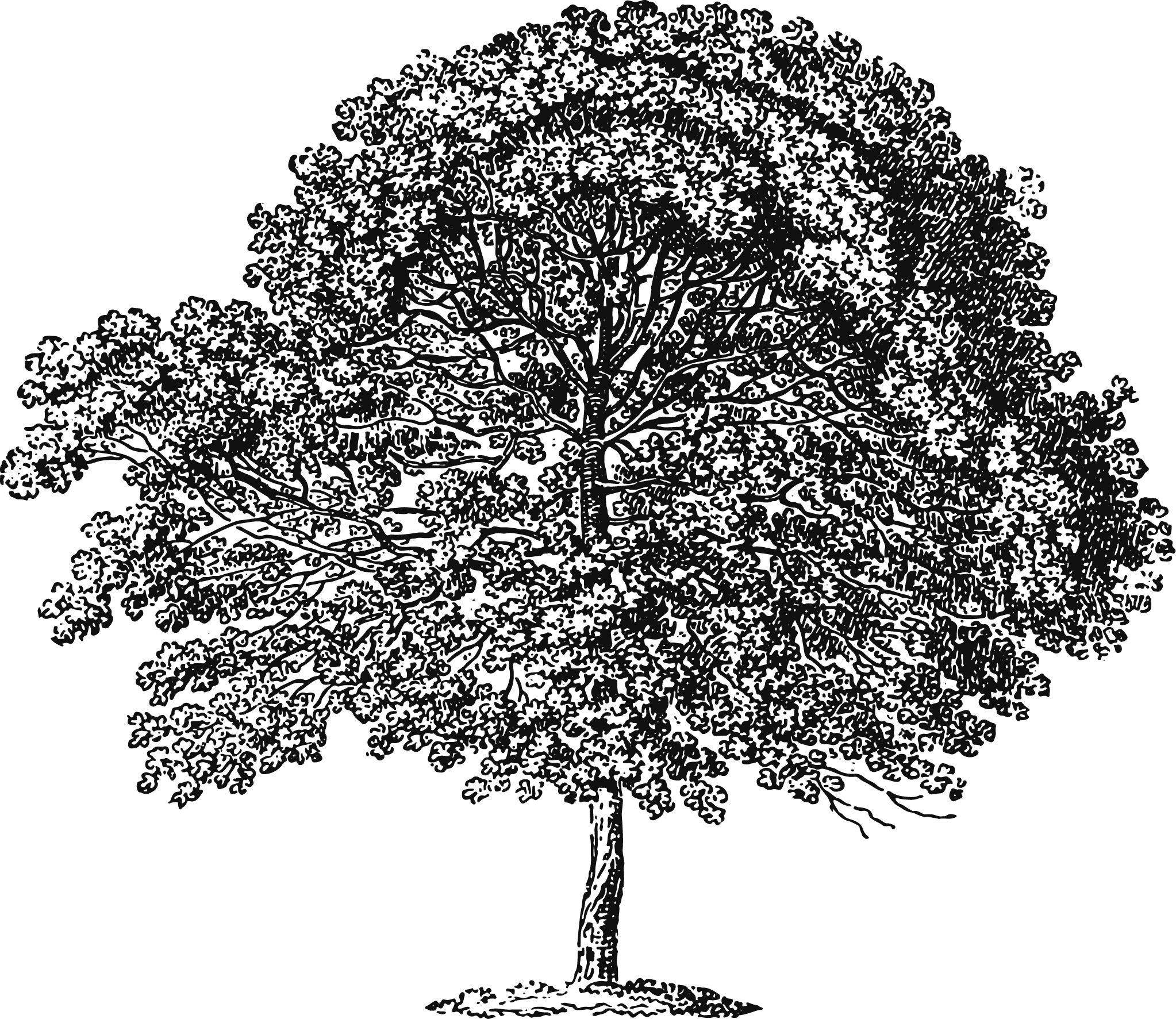 Oops, image could not be found... :<