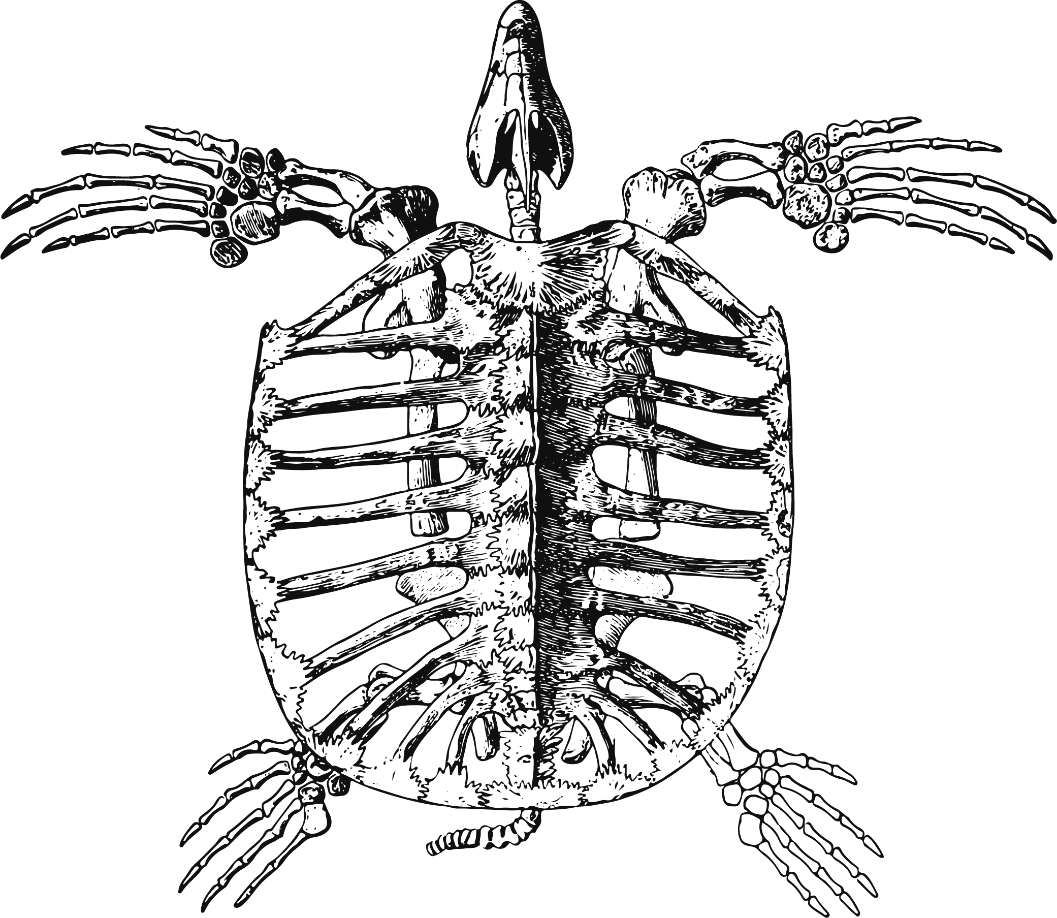 Oops, image could not be found... :<