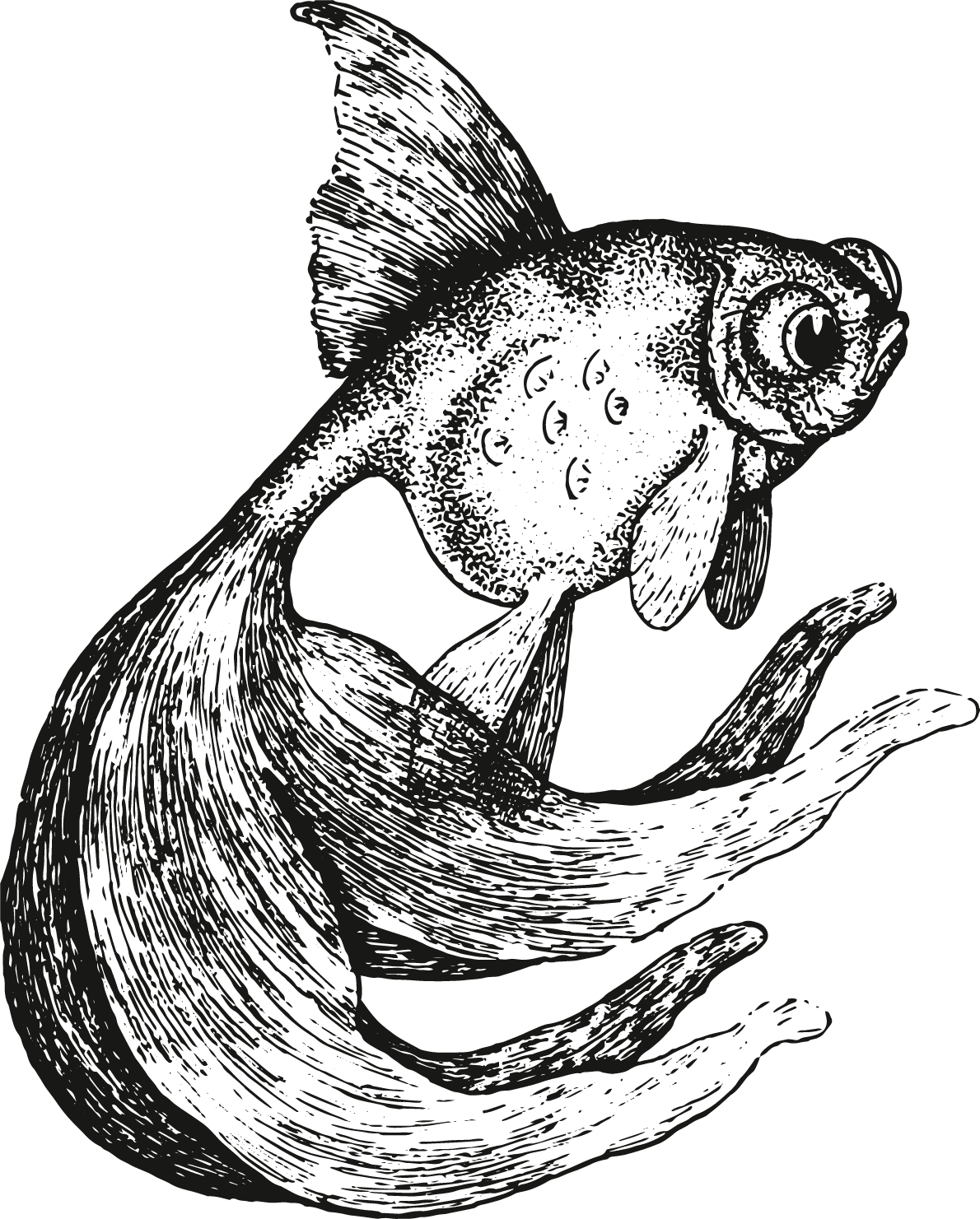 Oops, image could not be found... :<